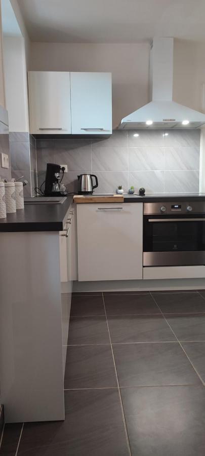 Logement Cosy Et Spacieux, A 2 Pas Du Centre-Ville Colmar Exteriér fotografie